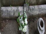image of grave number 341784